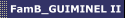 FamB_GUIMINEL II